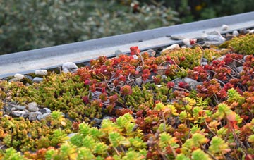 the cost of Murcott green roof installation