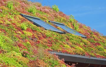 Murcott living roof systems