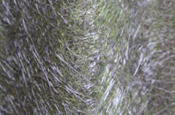 Murcott fibreglass roof work